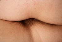 ATK hairy  in exotic and hairy