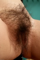 ATK hairy Ami Set