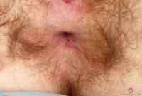 ATK hairy Amy Faye Set