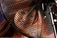 ATK hairy  in scary hairy