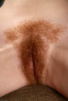ATK hairy  in scary hairy