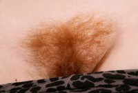 ATK hairy  in scary hairy