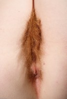 ATK hairy Ana Molly Set