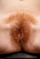 ATK hairy Ana Molly Set