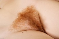ATK hairy Ana Molly Set