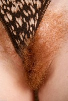 ATK hairy Ana Molly Set