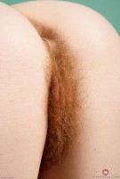 ATK hairy Ana Molly Set