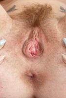 ATK hairy Andy San Dimas in young and hairy