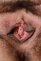 ATK hairy Andy Moon Set