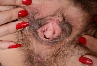 ATK hairy Andy Moon Set