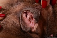 ATK hairy Andy Moon Set