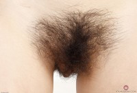 ATK hairy Andy Moon Set