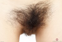 ATK hairy Andy Moon Set