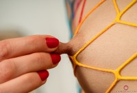 ATK hairy  in young and hairy