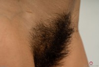 ATK hairy Andy Moon in young and hairy