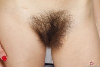 ATK hairy Andy Moon Set