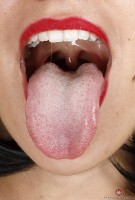 ATK hairy Andy Moon Set