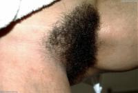 ATK hairy  in exotic and hairy