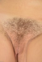 ATK hairy Corazon Del Angel Set