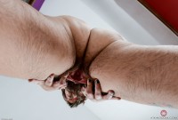 ATK hairy  in scary hairy