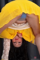 ATK hairy Annabella Ford Set