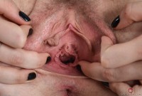 ATK hairy Apricot Pitts Set