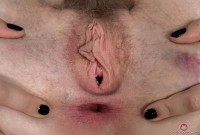 ATK hairy Apricot Pitts Set
