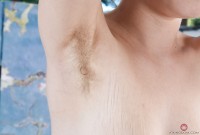 ATK hairy Apricot Pitts Set