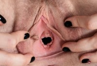 ATK hairy Apricot Pitts Set