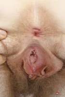 ATK hairy Apricot Pitts Set