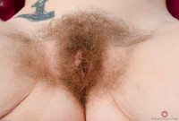 ATK hairy Apricot Pitts Set