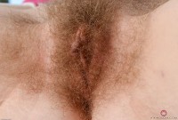 ATK hairy Apricot Pitts Set