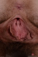 ATK hairy Apricot Pitts Set