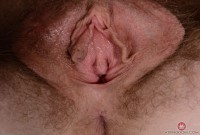 ATK hairy Apricot Pitts Set