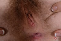 ATK hairy Apricot Pitts Set