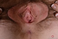 ATK hairy Apricot Pitts Set