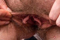ATK hairy Apricot Pitts Set