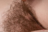 ATK hairy Apricot Pitts Set