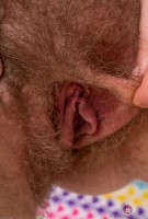 ATK hairy Apricot Pitts Set