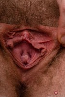 ATK hairy Apricot Pitts Set