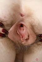 ATK hairy Apricot Pitts Set