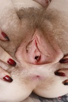 ATK hairy Apricot Pitts Set