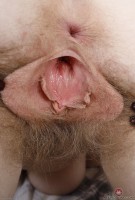 ATK hairy  in hairy fun