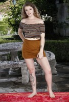 ATK hairy Apricot Pitts Set