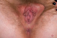 ATK hairy Apricot Pitts Set