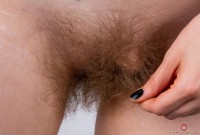 ATK hairy Apricot Pitts Set