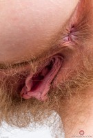 ATK hairy Apricot Pitts Set