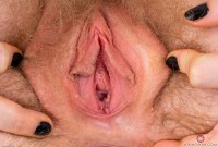 ATK hairy Apricot Pitts Set