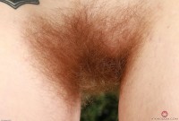 ATK hairy  in young and hairy