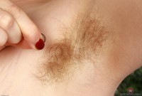 ATK hairy Apricot Pitts Set